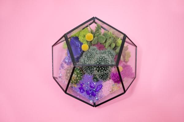 Image for event: That Thursday Thing: Frida Flower Terrariums